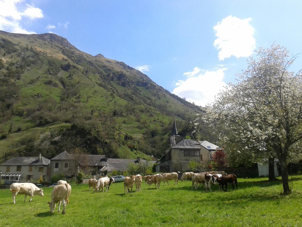 Lo Saunei Laruns Exteriér fotografie